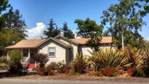 sanctuary-house-in-bloom